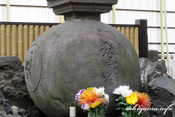 �F�쑽�G�Ƃ̋��{��