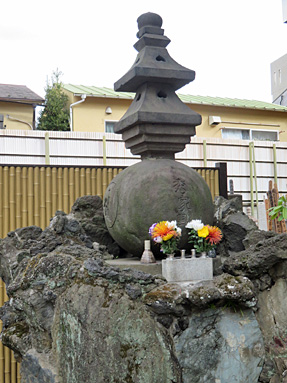 �F�쑽�G�Ƃ̋��{��