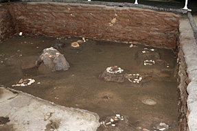 �q�ǂ��̕�