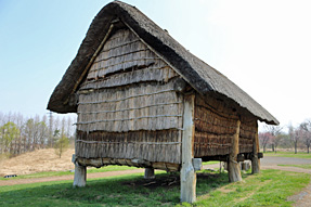 �@��������