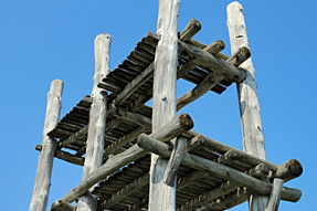 大型掘立柱建物