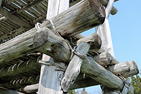 大型掘立柱建物