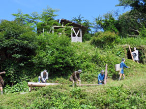 土肥金山