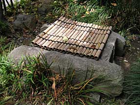 徳川秀忠の誕生井戸