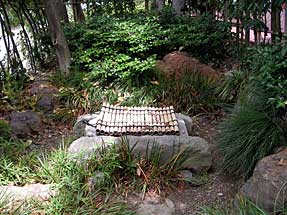 徳川秀忠の誕生井戸