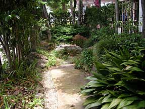 徳川秀忠の誕生井戸