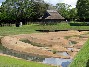 伊場遺跡・環濠