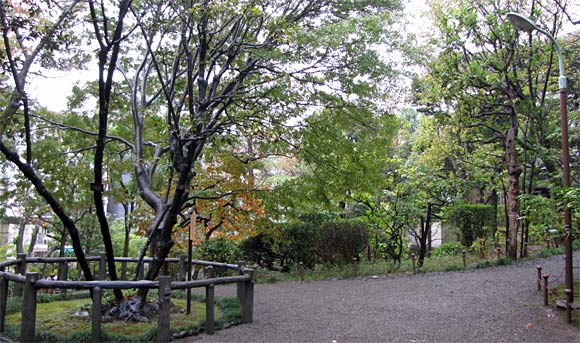 旧乃木邸・月桂樹