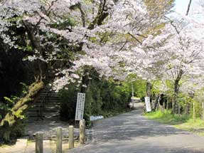 大山崎町