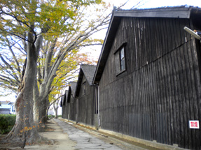 山居倉庫・欅並木