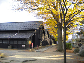 山居倉庫・欅並木