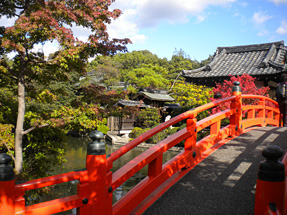 神泉苑・法成橋