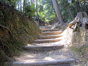 天王山・登山道