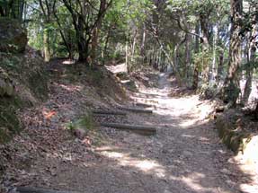 天王山・登山道