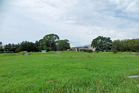遠江国分寺跡