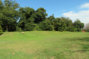 ���҉��~���