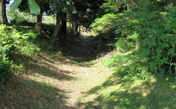 ���҉��~���