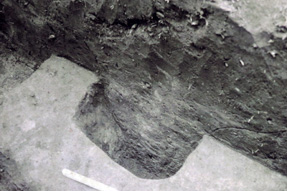 ���҉��~���