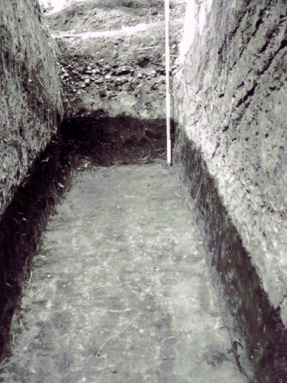 ���҉��~���