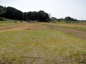 山田寺阯