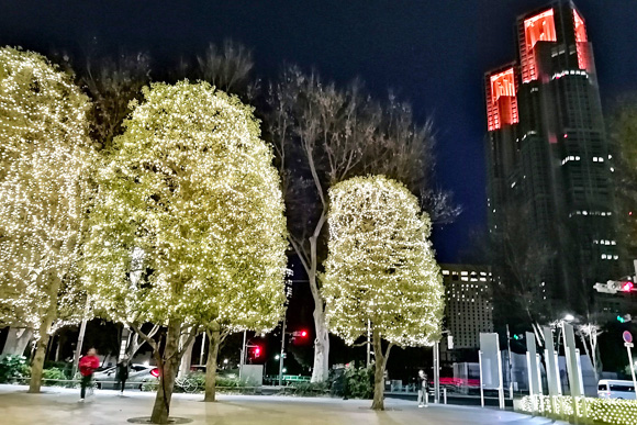 �V�h�p�[�N�^���[