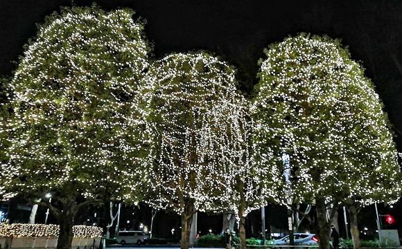 �V�h�p�[�N�^���[