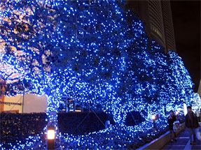 Shinjuku Southern Lights