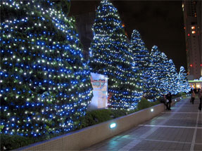 Shinjuku Southern Lights