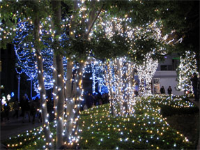 Shinjuku Southern Lights