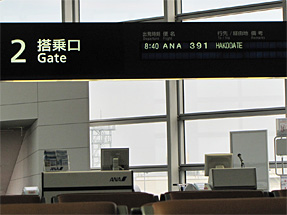 中部国際空港〜函館空港への空路