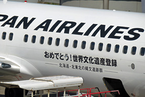 Boeing 737-800