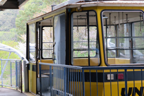 �_�ӎ����[�v�E�F�C