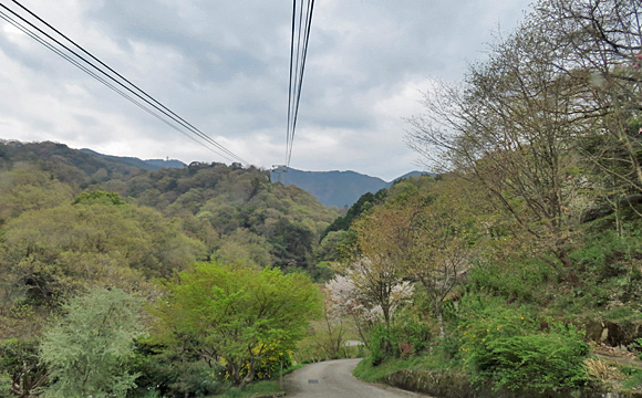 �_�ӎ����[�v�E�F�C