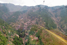 �_�ӎ����[�v�E�F�C