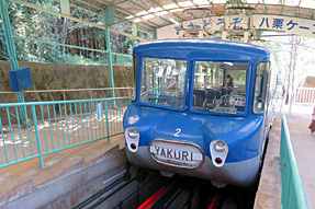 ���I�P�[�u��