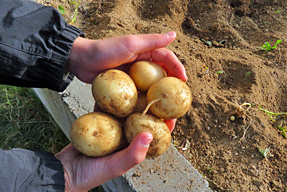 �W���K�C��